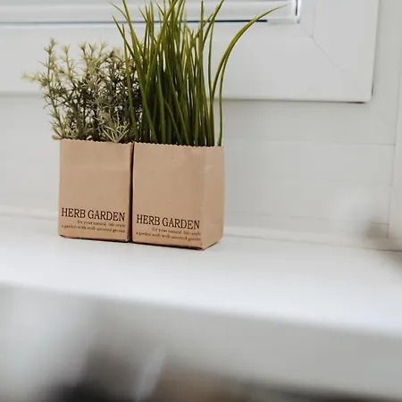 Fresena Bude 3 Apartment Norderney