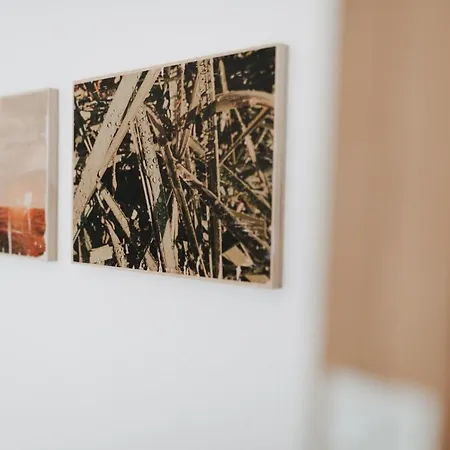 Fresena Bude 3 Apartment *